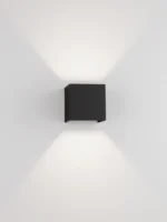 VECTOR - Image 3