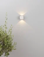 ZARI - Image 4
