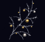 EWN-12-14-001
