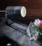 COLIBRI - Image 3