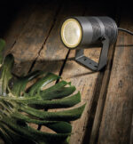 COLIBRI - Image 4